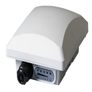 Access Point Standalone P300