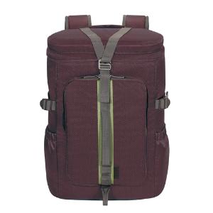 Targus 14 Inch Seoul Backpack 2017 - (Plum)