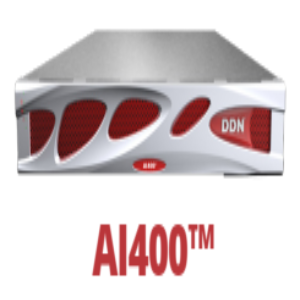 DDN AI400X-176TB