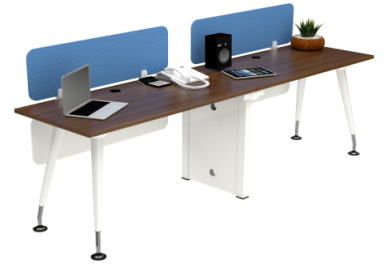 WORKSTATION 2 PERSON VWS 2-09