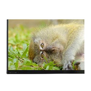 86-inch Interactive Flat Panel IS-86OPS