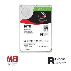 Seagate Harddisk Internal Ironwolf Pro 3,5inch 10Tb