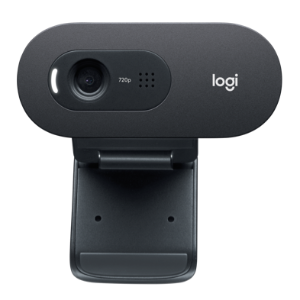 Logitech C505 HD Webcam