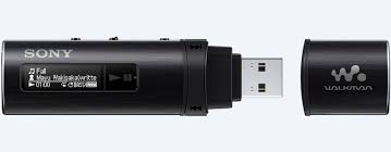 NWZ-B183F Walkman With Built-in USB