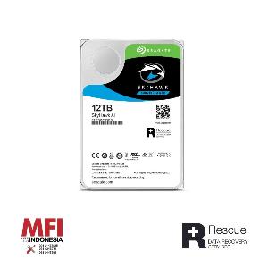 Seagate Harddisk Internal Skyhawk AI 3,5inch 12Tb