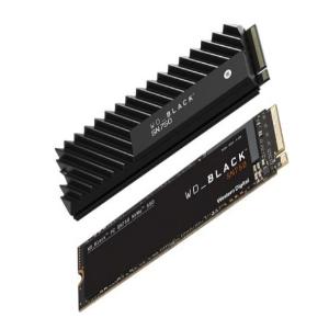 WDS100T3XHC