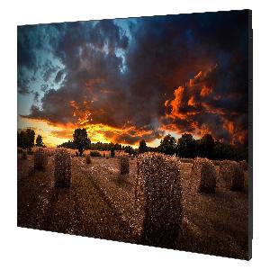 Video Wall 55 Inch - VM55T-U