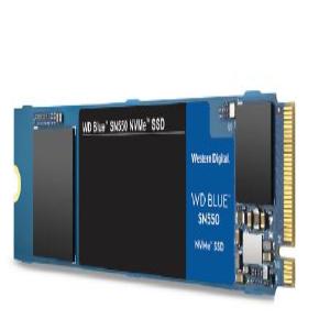 WDS250G2B0C