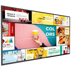 Digital Signage DS-43G4501