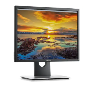 Dell Monitor P1917S