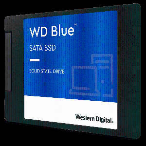WDS100T2B0A