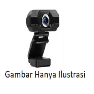 Webcam W100