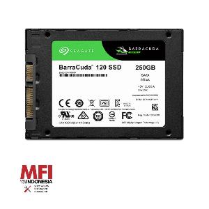Seagate SSD Internal Barracuda 120 2,5 Inch 250gb