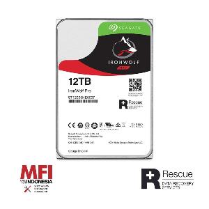 Seagate Harddisk Internal Ironwolf Pro 3,5inch 12Tb