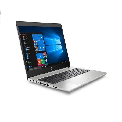 ProBook 445 G7 (224T3PA)