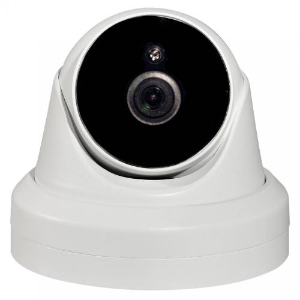 Dome Thermal Imaging Temperature Camera 2MP