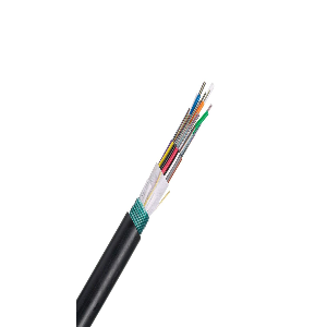 6 Fiber OM3 10 GbE Multimode Non Standar  Lapis Baja Tunggal Baju Besi Tunggal Jaket Luar Ruangan ( FLWNX06 )